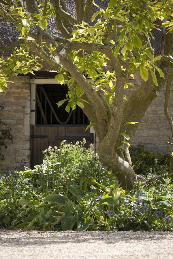 The Old Manor House Bed and Breakfast Halford  Εξωτερικό φωτογραφία